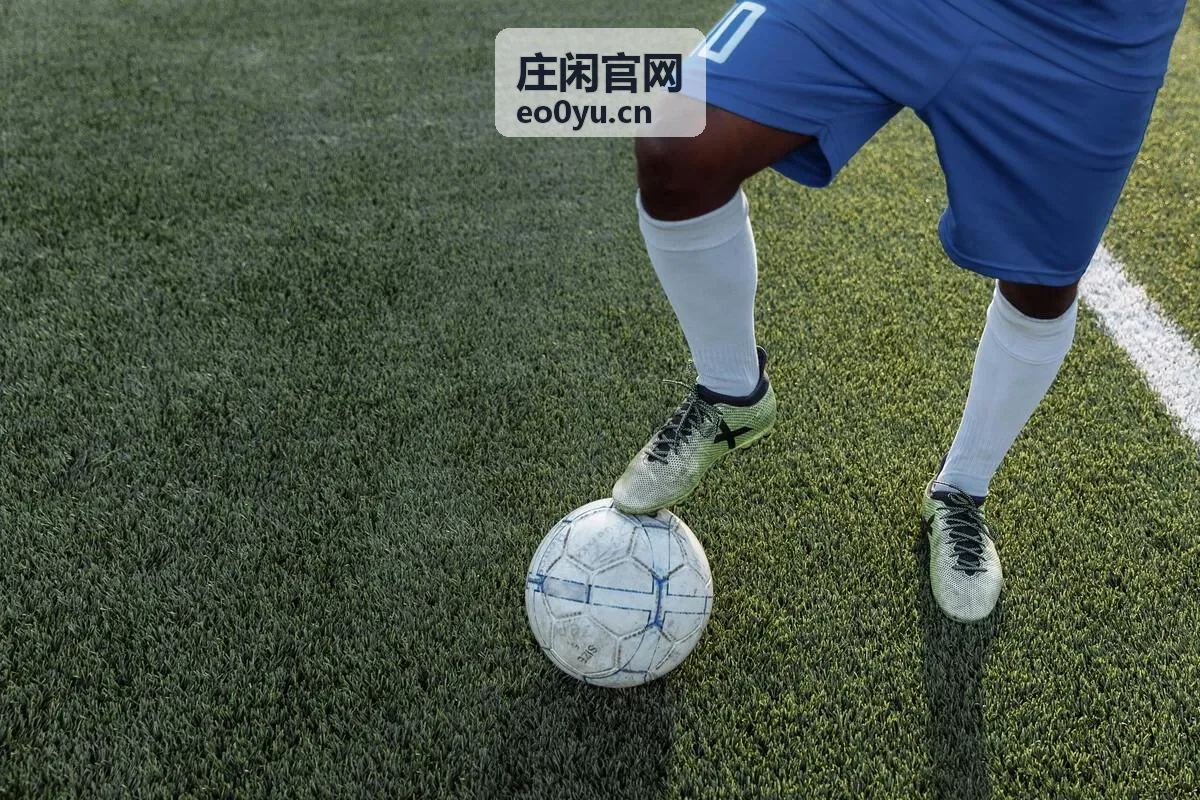庄闲官网资讯评测：规则解读与玩法参考